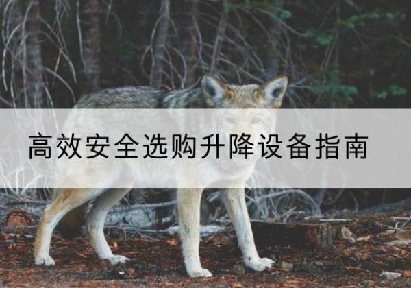 瑶海升降货梯厂家推荐-*安全选购升降设备指南