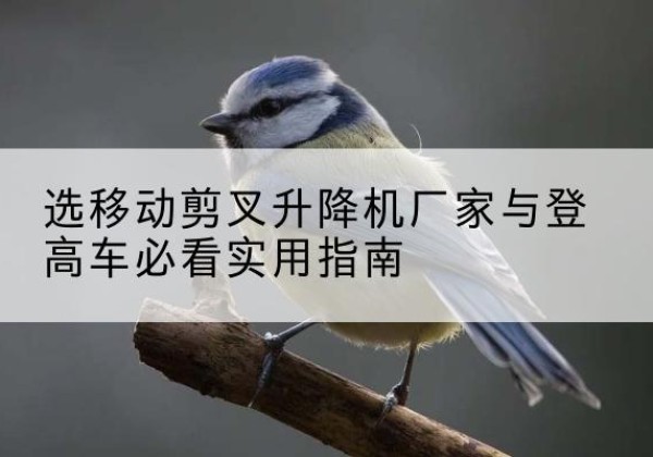 瑶海电动升降机厂家-选移动剪叉升降机厂家与登高车必看实用指南