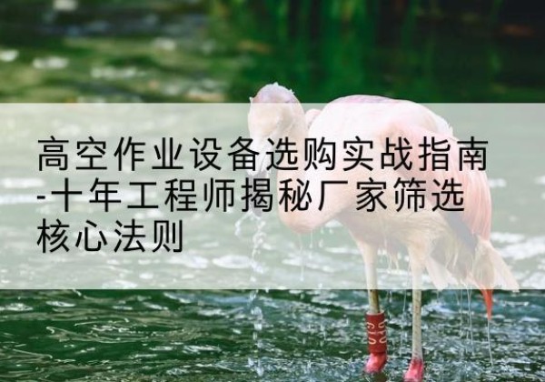 瑶海剪叉式升降机厂家-高空作业设备选购实战指南-十年工程师揭秘厂家筛选核心法则